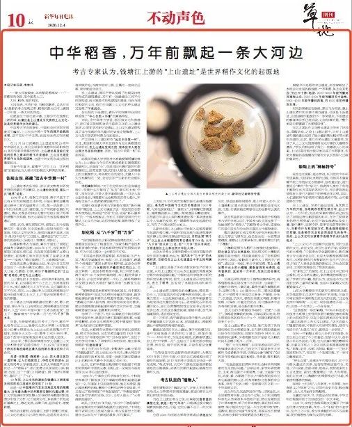 中华稻香 万年前从金华这里飘起 考古 金华 新浪新闻