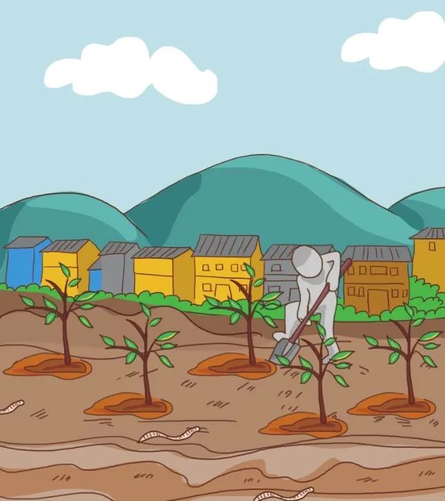 世界土壤日:保护土壤 你我参与