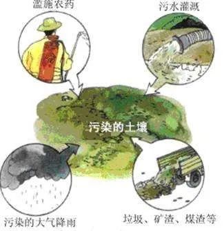 世界土壤日:保护土壤 你我参与|土壤污染防治行动计划|土壤污染防治法