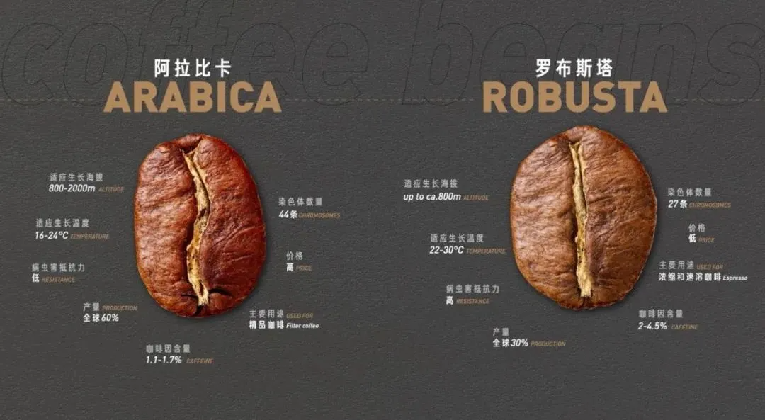 几乎都属于阿拉比卡种,而更便宜的罗布斯塔种则被大量用于速溶咖啡