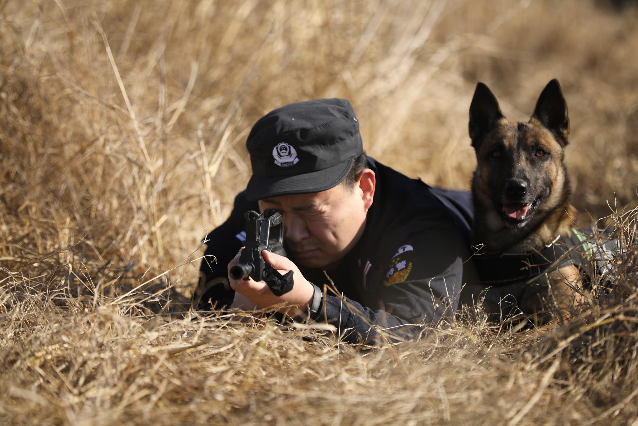 在现场,训导员们与警犬一同完成了通过障碍,物品鉴别,行李箱搜爆,解救