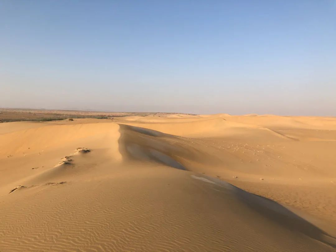 趣看沙漠种菜真是中国人天赋一场人类和沙漠的抗争