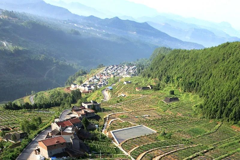 巴中这个村获评"四川十大最亮眼村居"!