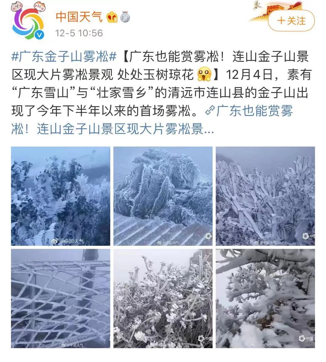 广东下雪了 真美 今年最冷已来 接下来 新浪新闻