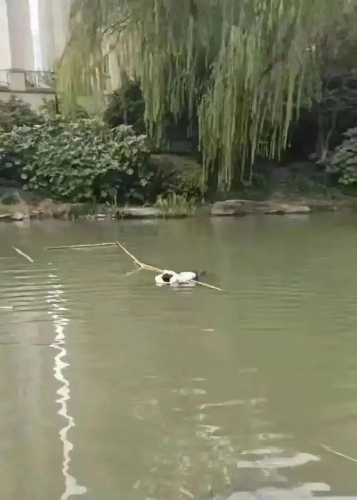 海南籍女保安在寒冬中跳河救下轻生女子!