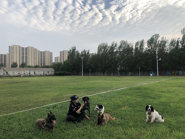 法者丨北京刑警徐方芳:与警犬为伴15年,训犬是一生所爱