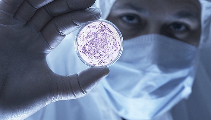 【特写】突发疫情使人措手不及，如何让公共卫生领域的药物研发更有准备？