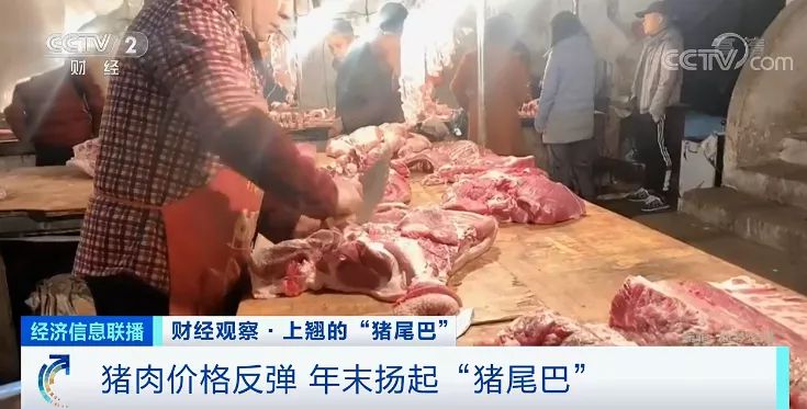 猪肉价格反弹！房企抢滩，卖猪比卖房挣钱？