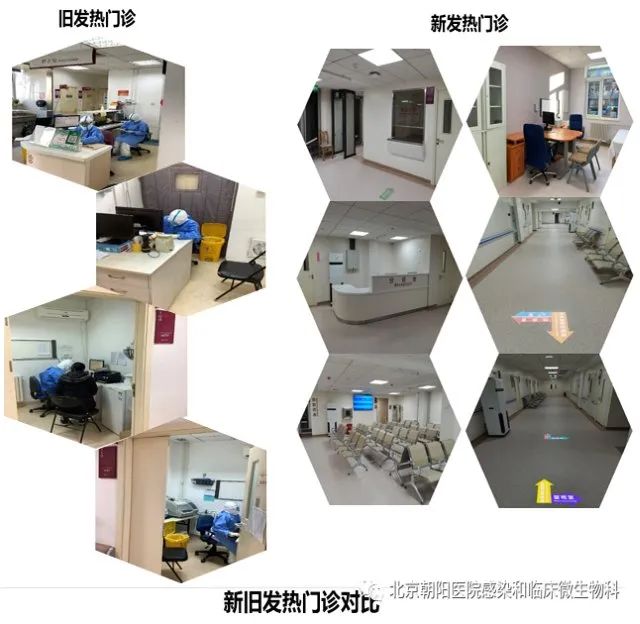 包含朝陽醫院代掛號住院加急聯系方式_全天在線急您所急的詞條