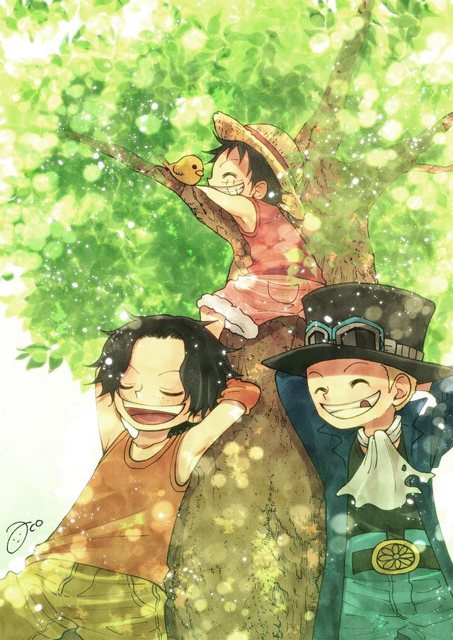 三兄弟回归童年的夏天,在树下乘凉吃冰棍|萨博|艾斯|路飞_新浪新闻