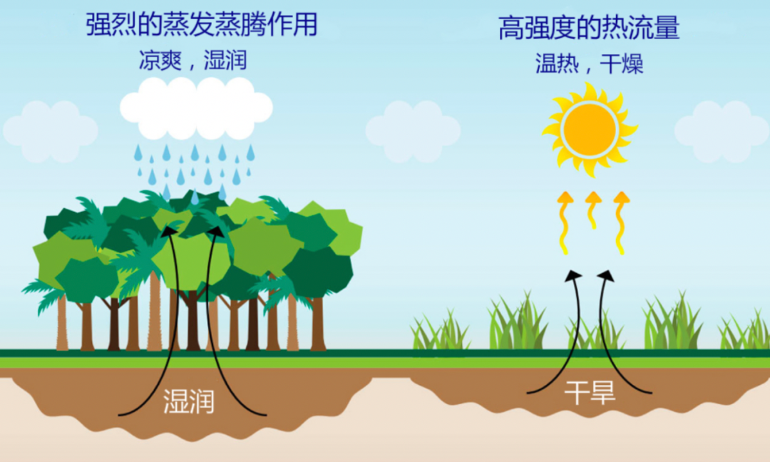 澳大利亚山火又双叒来了连烧7周超8万公顷受影响