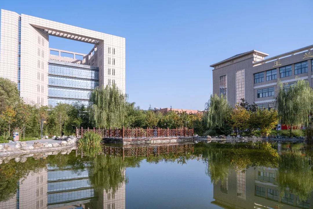 今日西大宜晒太阳