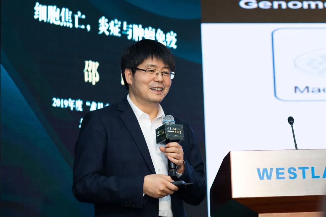 邵峰院士在西湖大学分享读博期间差点放弃