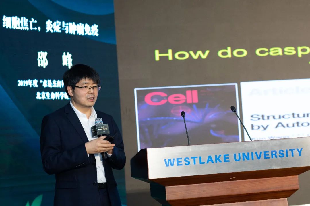 邵峰院士在西湖大学分享读博期间差点放弃