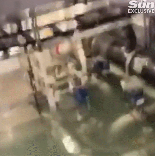 截自太阳报视频