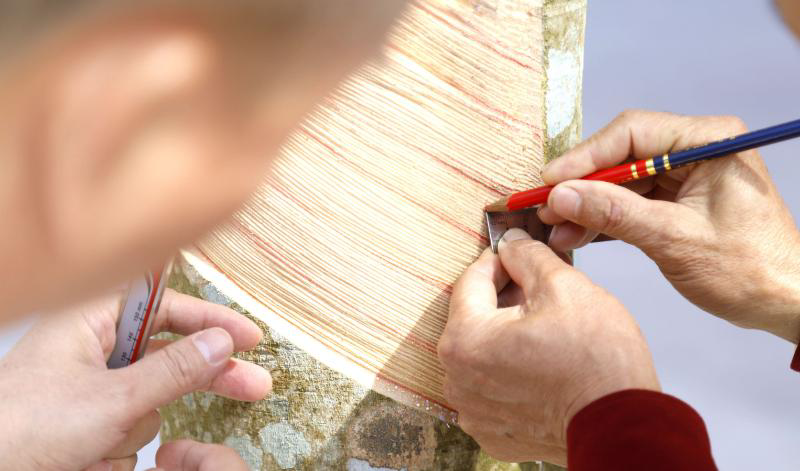 团结农场查明飞摘得个人综合奖第一名,团结农场熊朝云,火星农场李光华