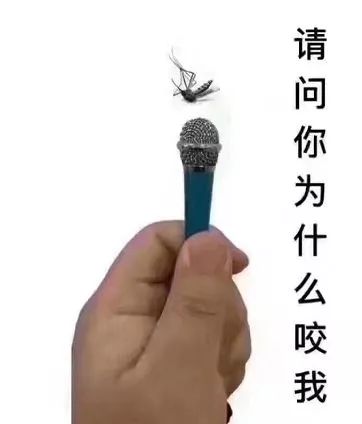 大量小飞虫突袭惠州街坊看了心惊惊原来是它