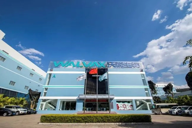 贱卖“下金蛋的鸡”，沃森生物把投资人当傻子？