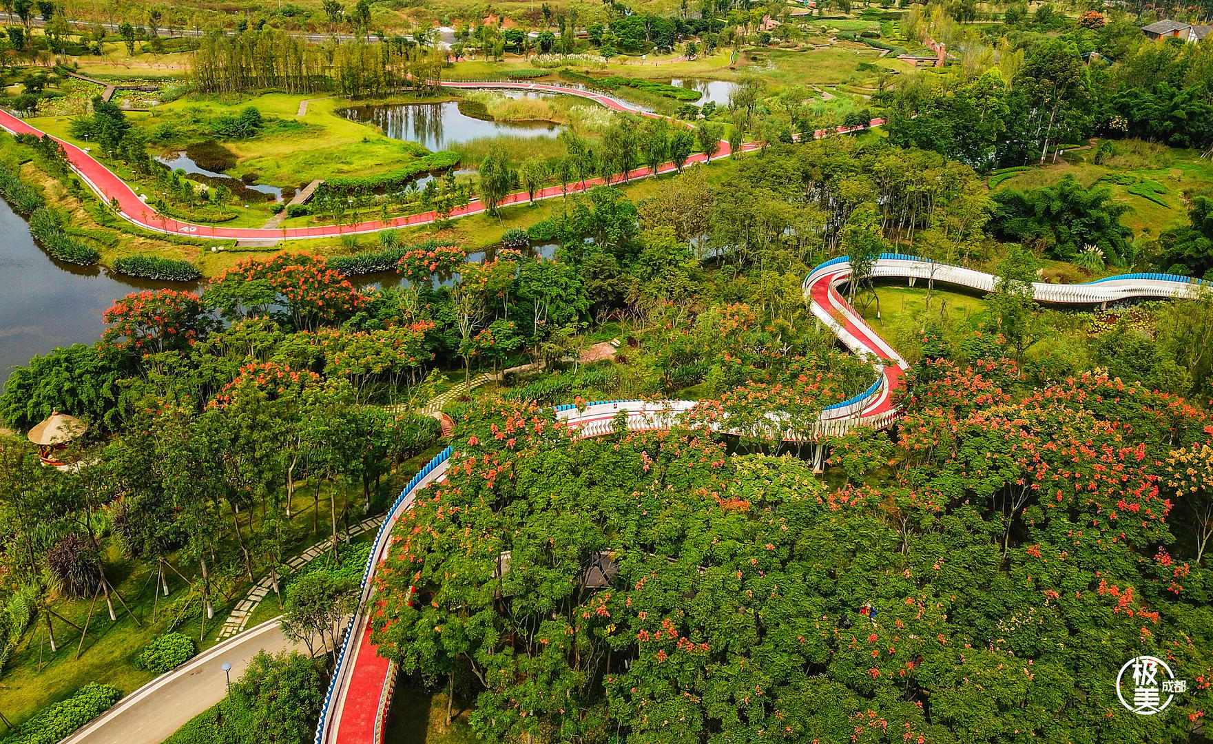 锦城公园保护条例征集意见拟禁止携带犬只进入绿道