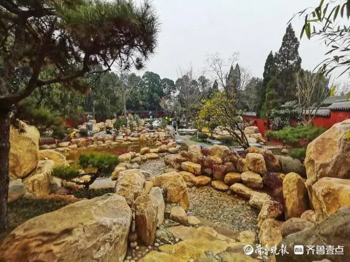 泰安人都来看看就在今天咱泰山主大门大变样虎山公园的快乐也回来了
