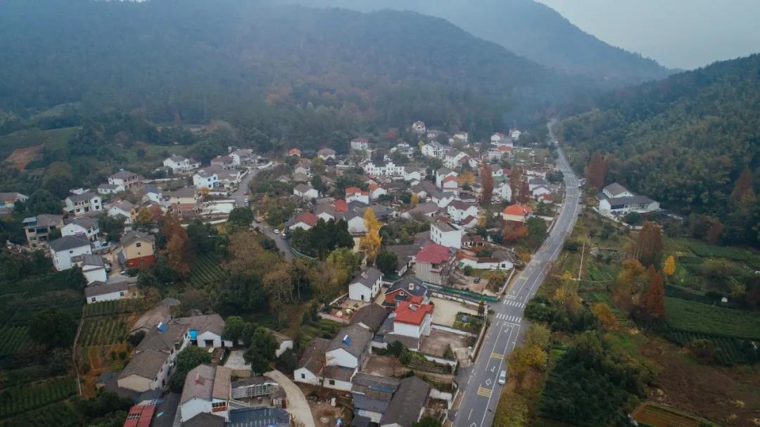 我和我的家乡路丨美丽乡村在安吉这条路照亮大地之光