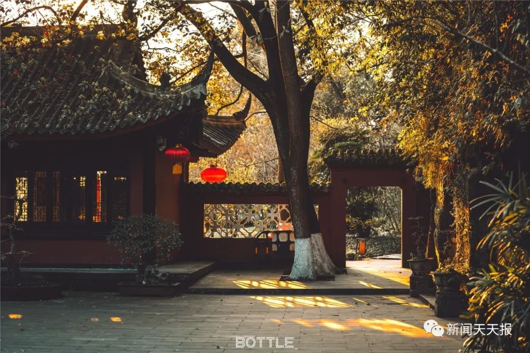 春天发生的一切呀我们被禁锢的时间才不算被浪费文 / 王卓然特别声明