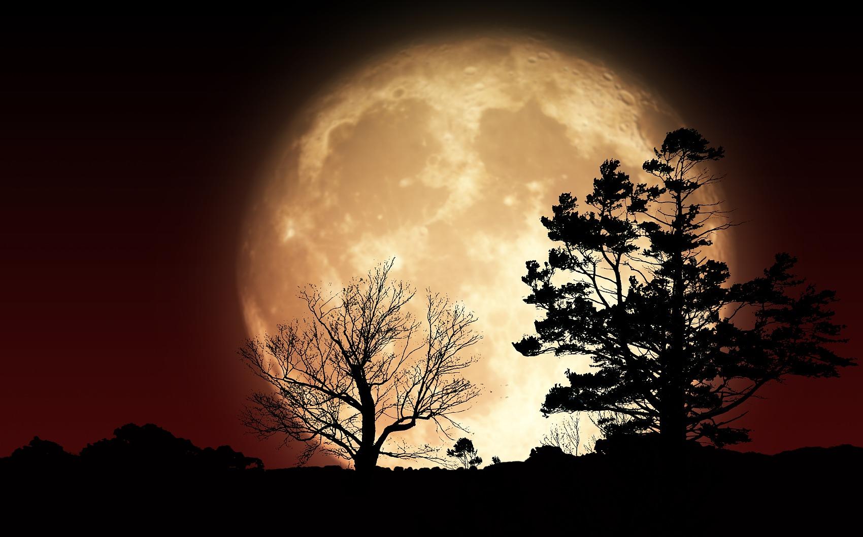 成都今天受天气影响错过"超级月亮",4月8日或见全年"最大满月"