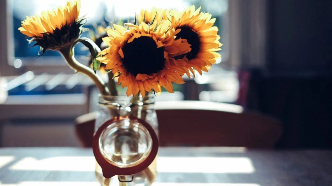 夜读 | 安放坏情绪，才有好生活