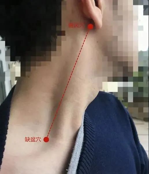 颈部刮痧的位置图解图片
