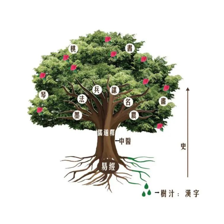 记者荐书想了解国学不妨来看看这棵国学之树