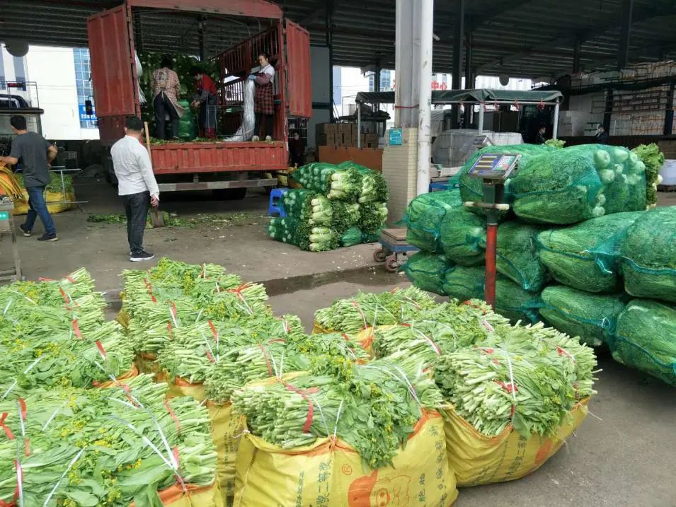 南宁金桥市场供应充足价格平稳