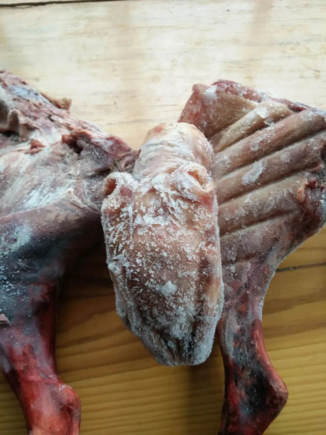 3月12日,执法支队负责人叶建德告诉中国市场监管报记者,已将麂子肉送