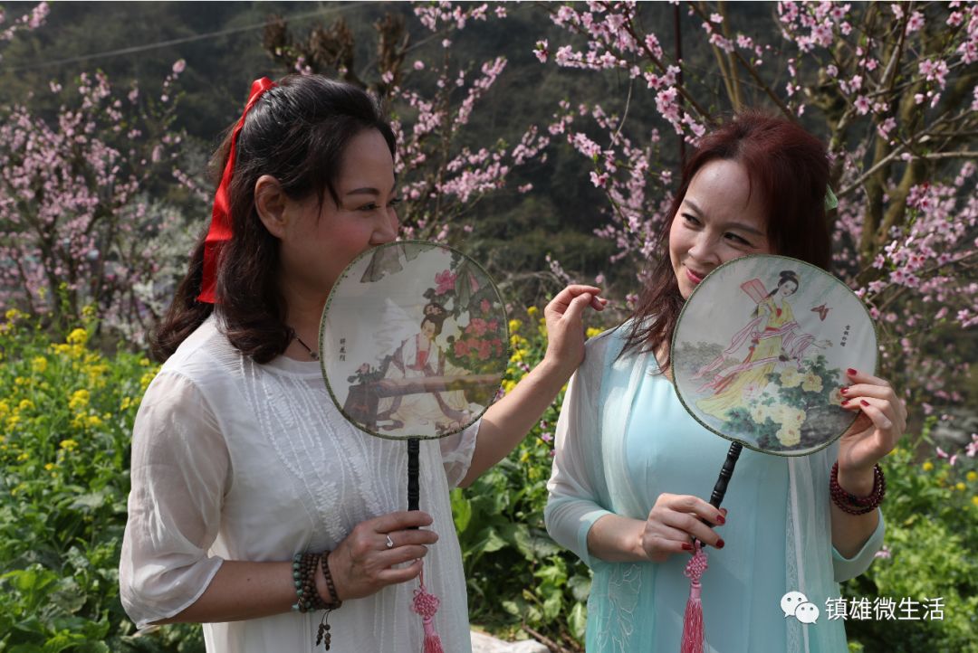 图集春回大地看镇雄五德百花争艳