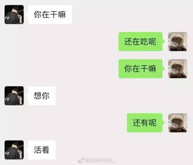 男女暧昧时期的聊天记录能有多刺激