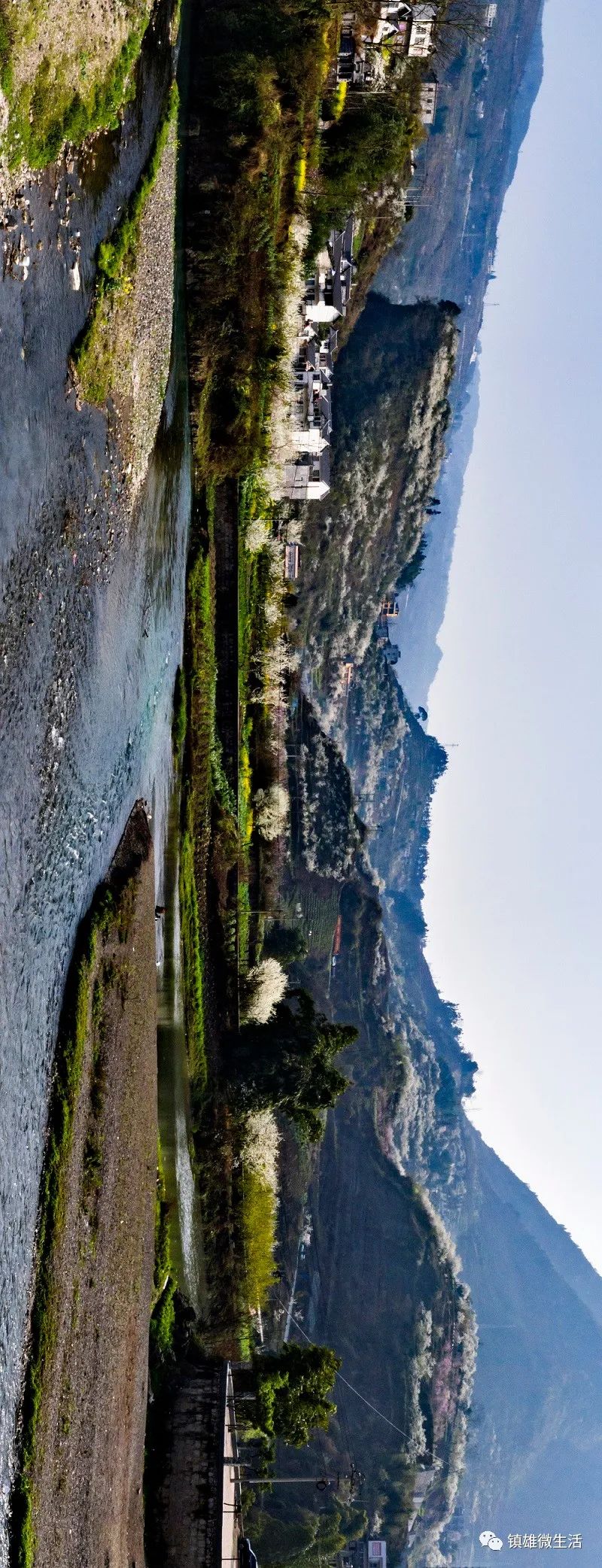 图集春回大地看镇雄五德百花争艳