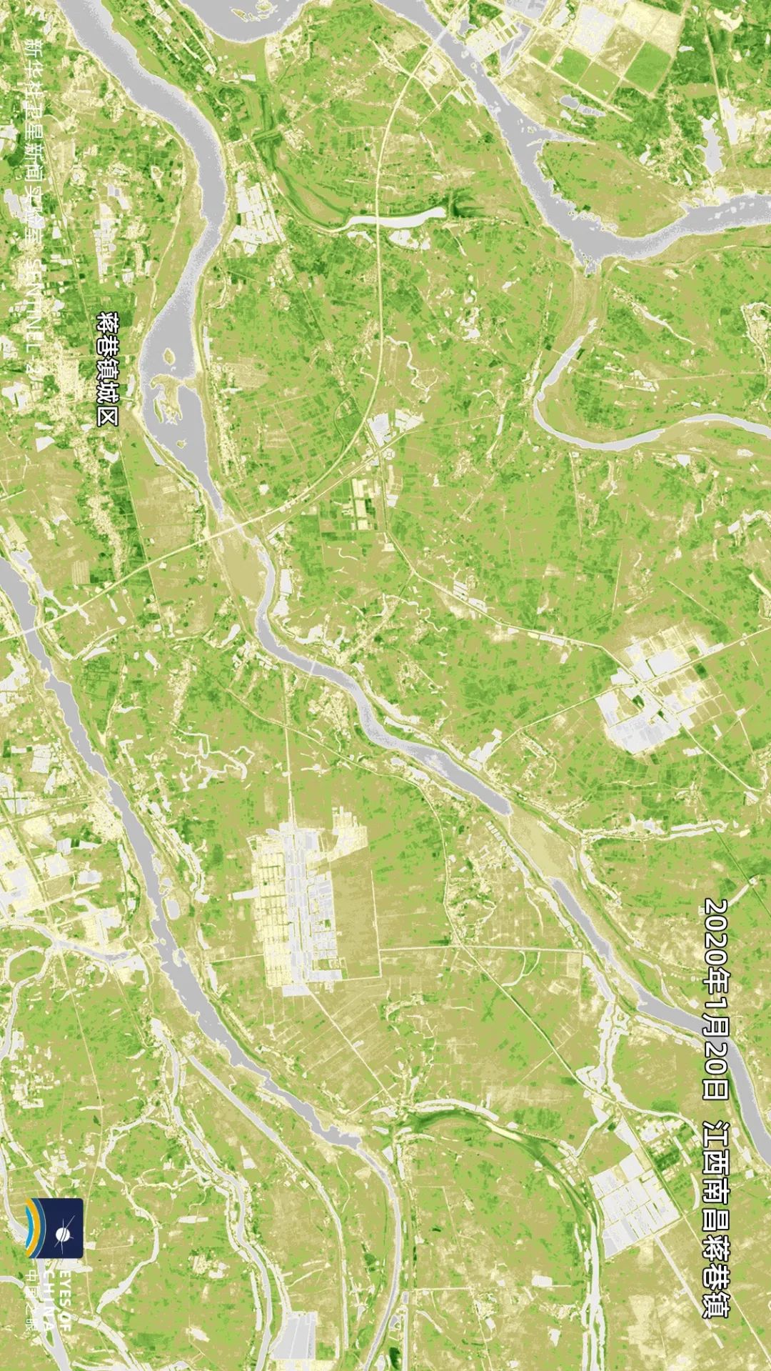 卫星发现一个信号中国耕地正在绿起来