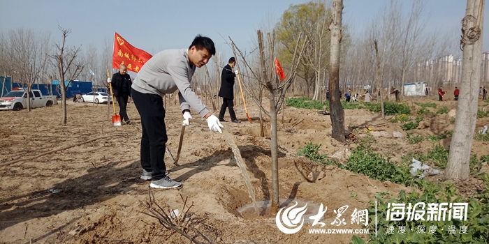 菏泽市牡丹区南城街道：植下一棵树，收获万点绿