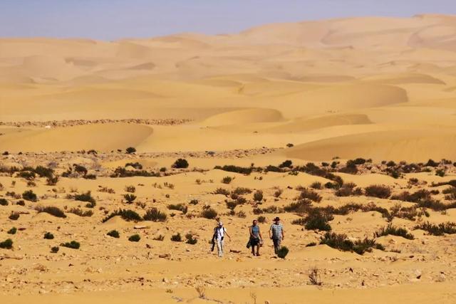 沙漠不是生命的荒漠