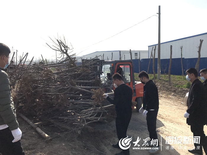 菏泽市牡丹区南城街道：植下一棵树，收获万点绿