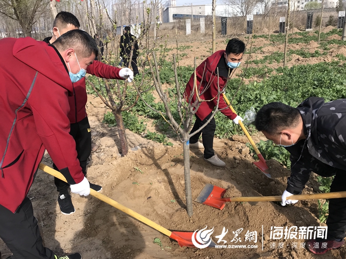 菏泽市牡丹区南城街道：植下一棵树，收获万点绿