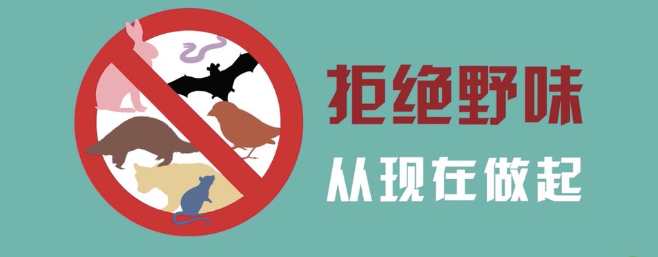 贪吃野味祸害有多大?拒绝野味 ,从现在做起!