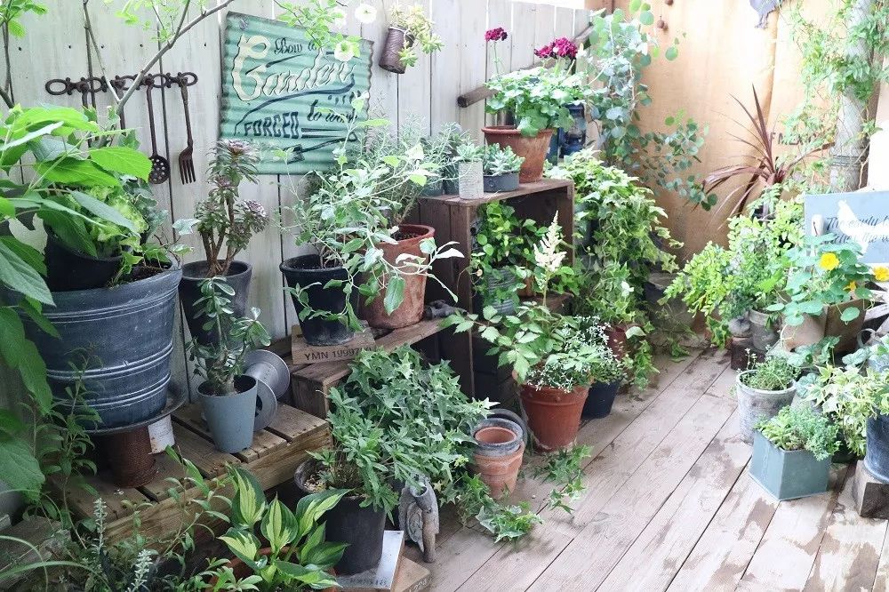 在12.6㎡的阳台上,如何打造一个生活园艺两不误的小花园?