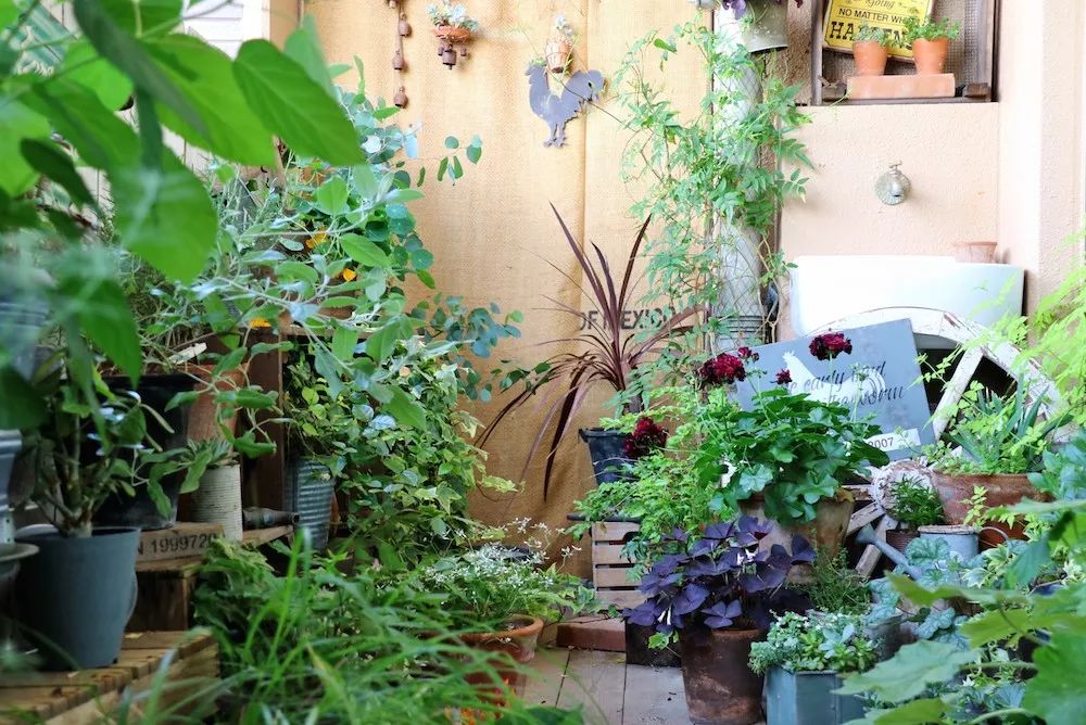 在12.6㎡的阳台上,如何打造一个生活园艺两不误的小花园?