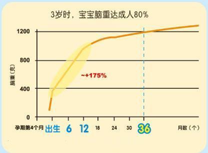 没中的赶紧抓住这个脑发育黄金期