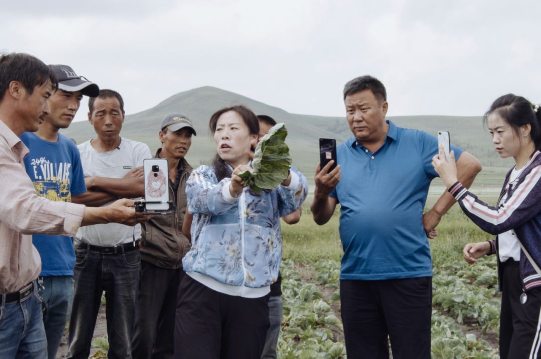 "专业"县长快手带货记