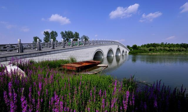 济宁汶上县莲花湖湿地景区3月14日起恢复开放
