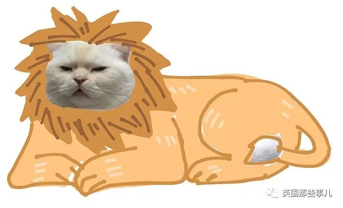 开局一张猫头,剩下随便发挥.沙雕网友们的脑洞,很有趣啊!