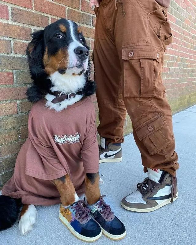 让大佬低头的不是aj,supreme,还能是什么?