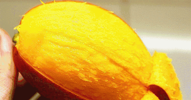 今天16时直播间送福利!三亚名嘴在果园为你送上芒果的甜蜜暴击～__财