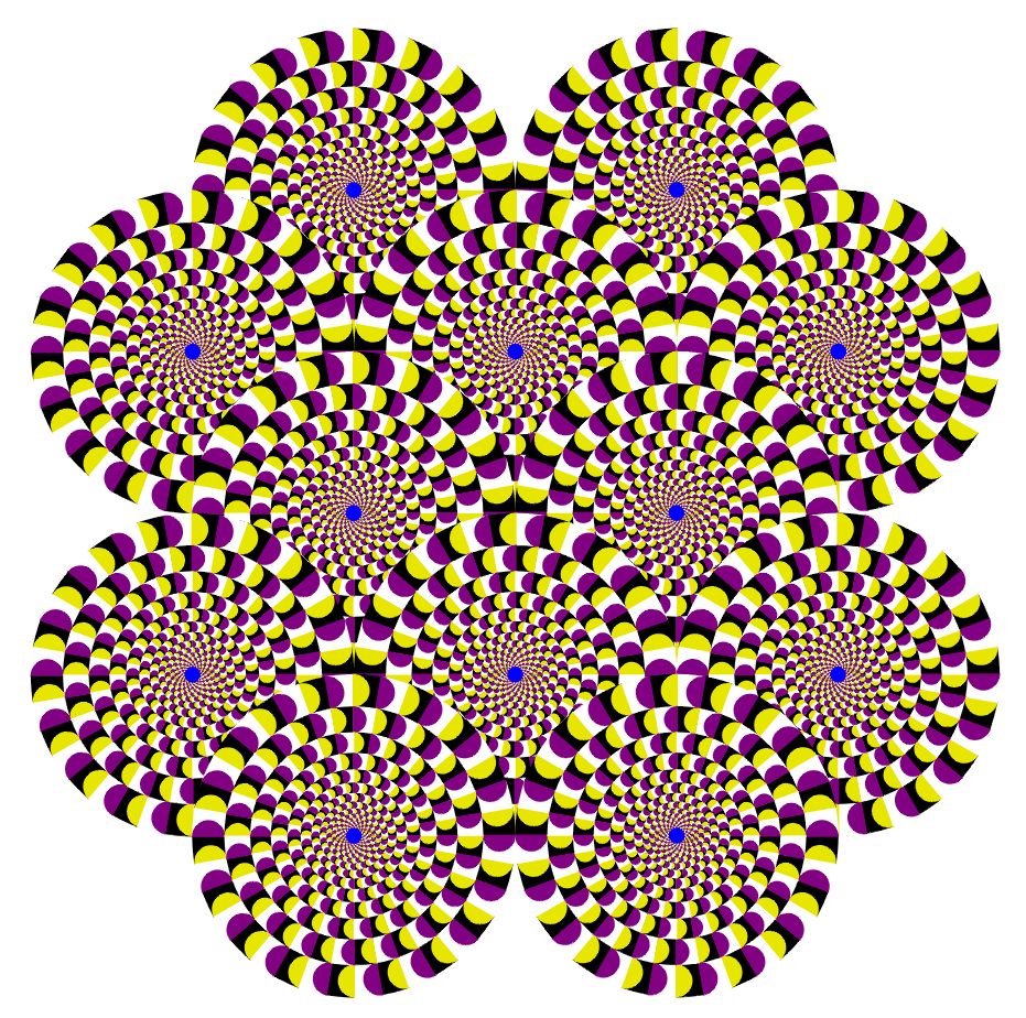 看完感觉脑子出了bug